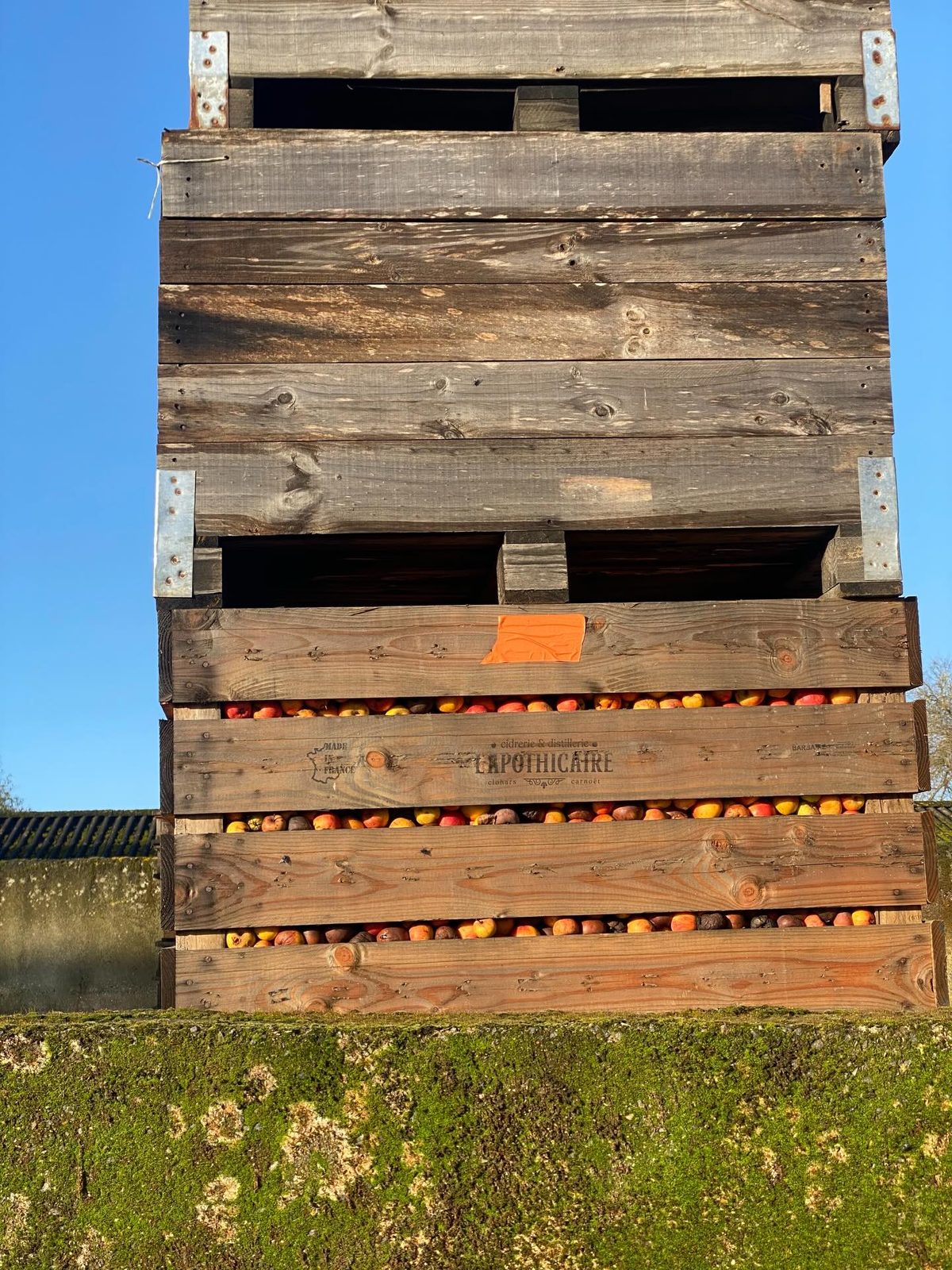 Stacked wooden crates of apples at L'Apothicaire cidrerie, branded 'Made in France' and 'Clohars-Carnoët', against a clear blue sky