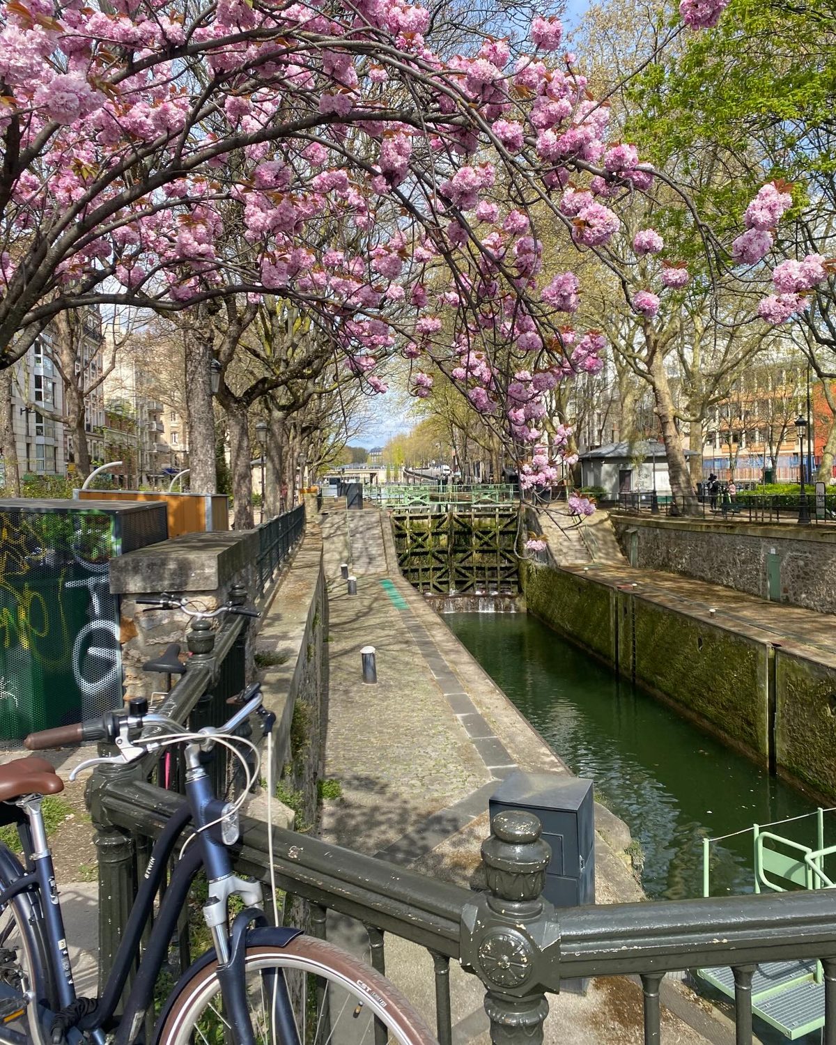 Cherry blossom branches arching over a quiet stretch of the Canal Saint-Martin in Paris, with a bicycle propped against the green iron railing
