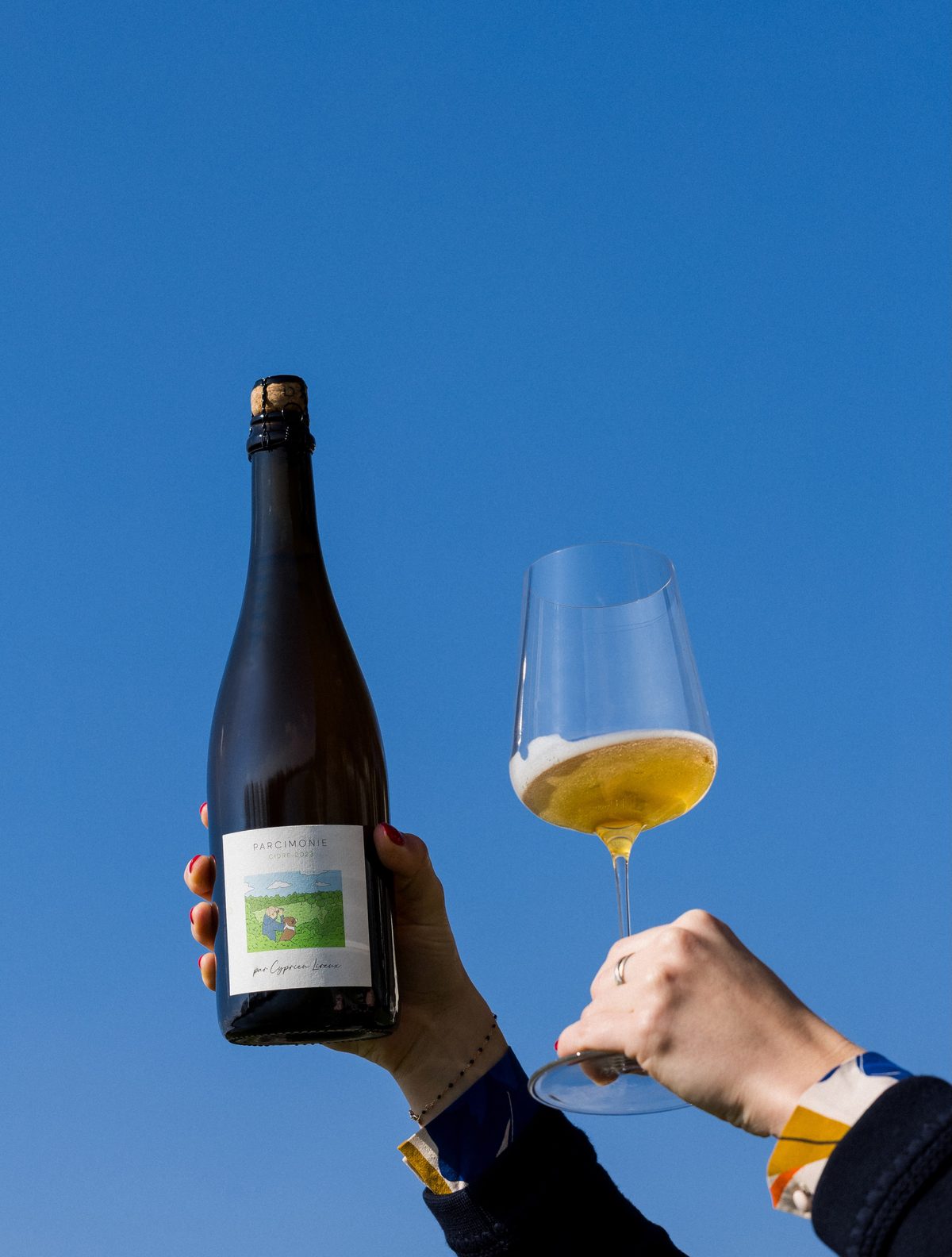 A bottle of Parcimonie and a full glass raised together against a blue sky